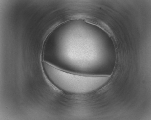 X0000069830946200605190938