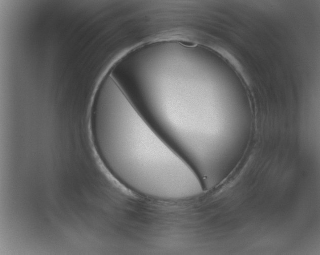 X0000069830949200605190938