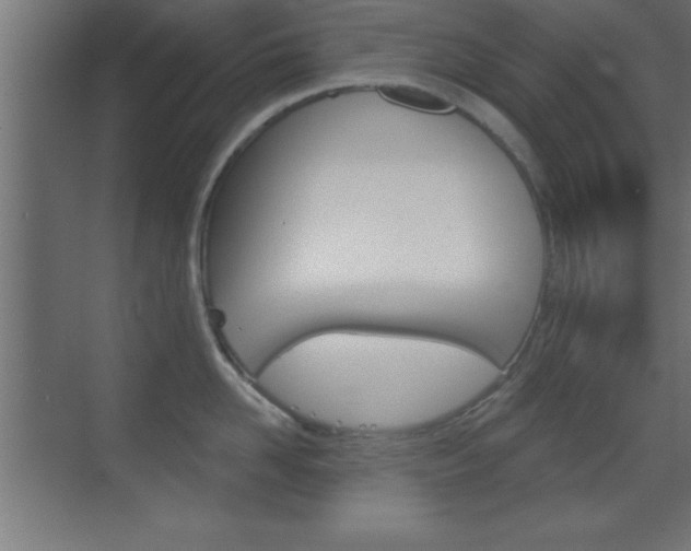 X0000069830958200605190938