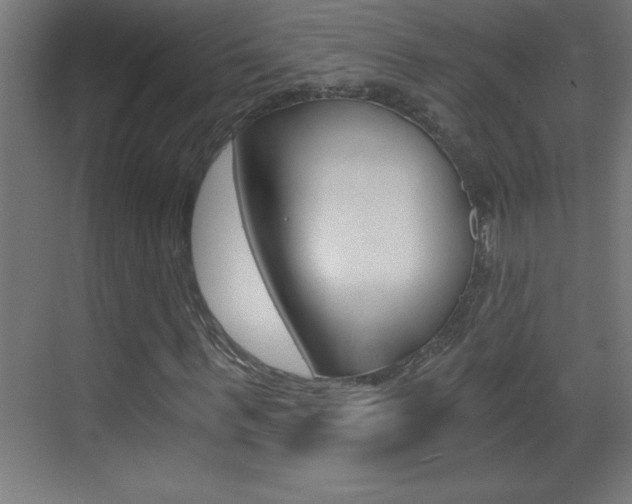 X0000069830963200605190938