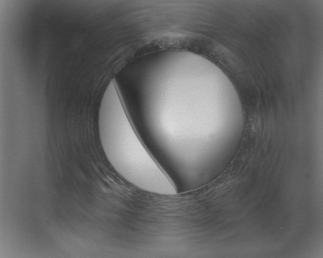 X0000069830964200605190938