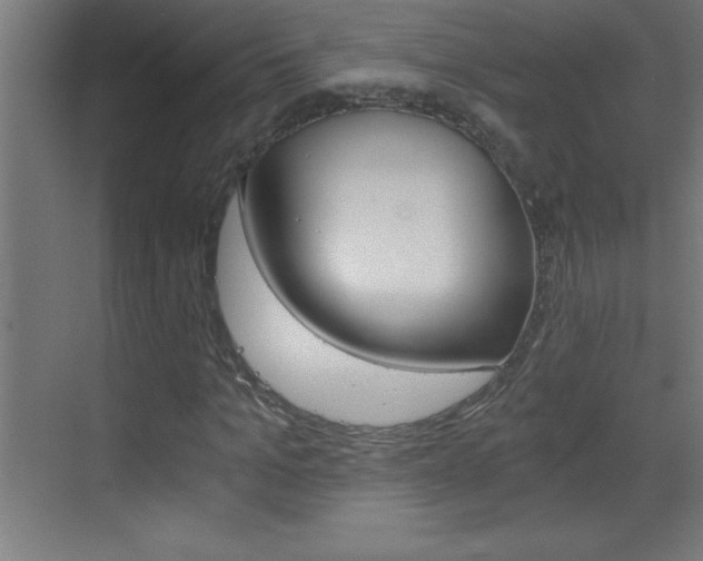 X0000069830965200605190938