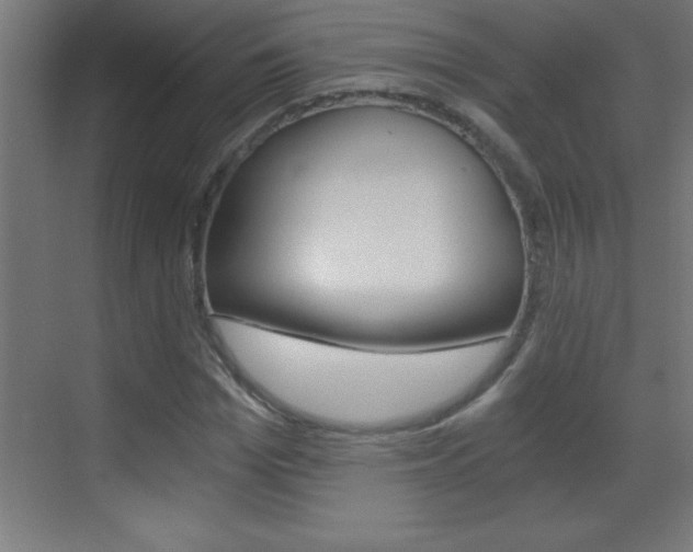 X0000069830969200605190938