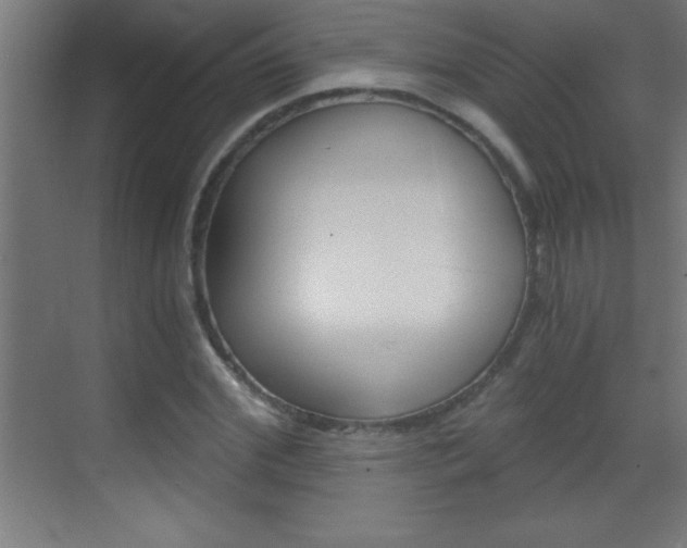 X0000069830972200605190937