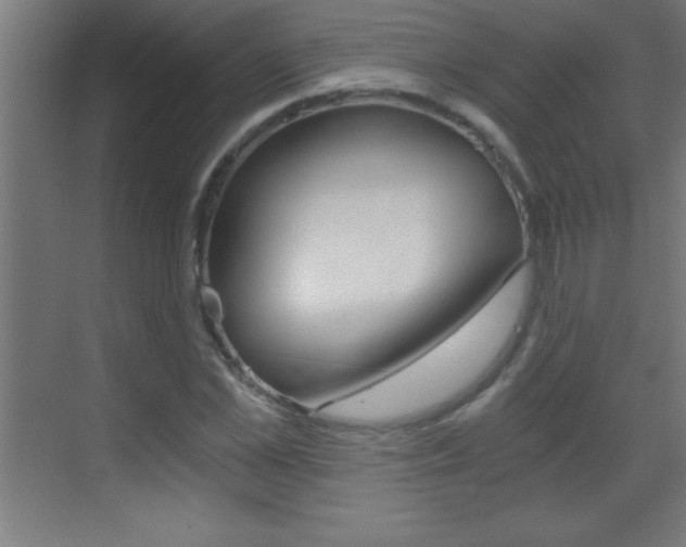 X0000069830973200605190937