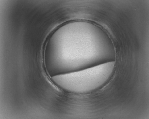 X0000069830982200605190937