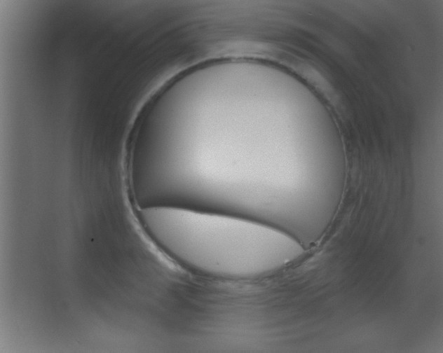 X0000069830990200605190937