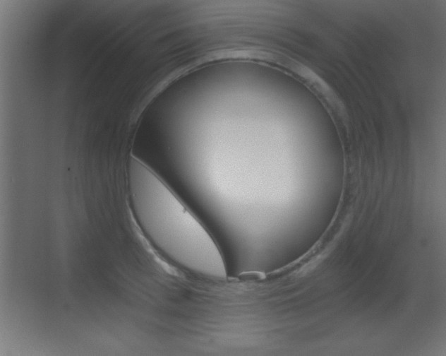 X0000069830993200605190937