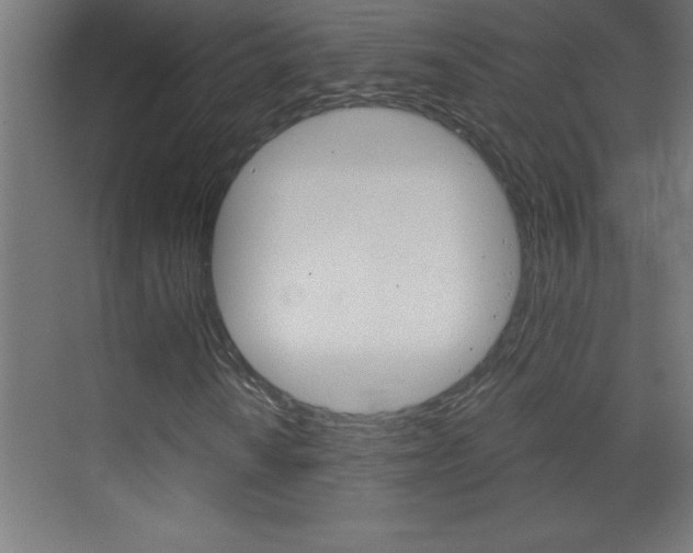 X0000069831010200605190936