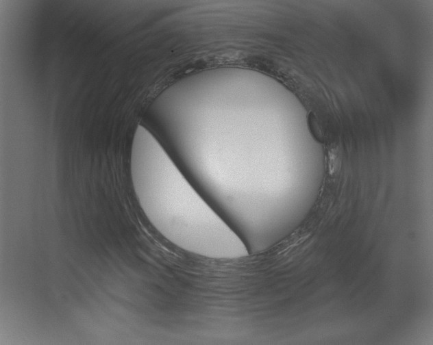 X0000069831011200605190936