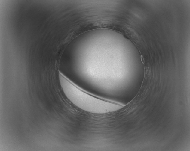X0000069831012200605190936