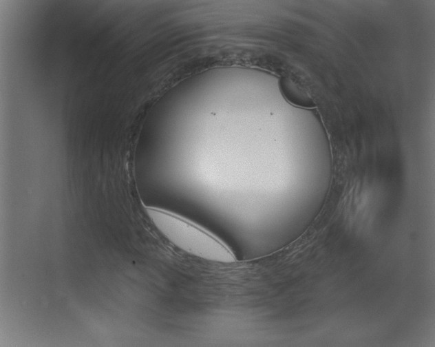 X0000069831013200605190936