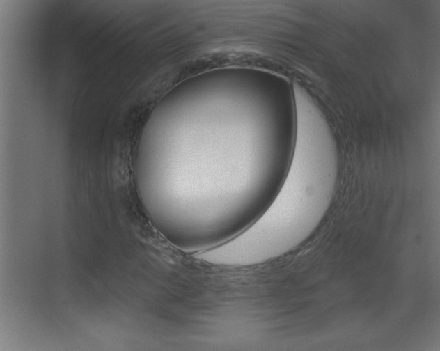 X0000069831014200605190936