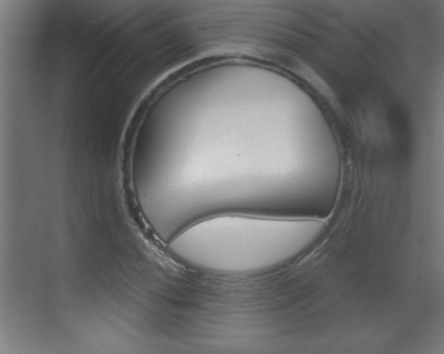 X0000069831020200605190936