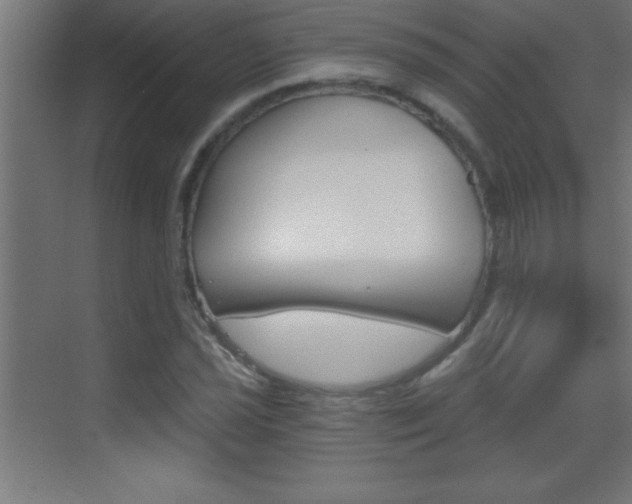 X0000069831021200605190936
