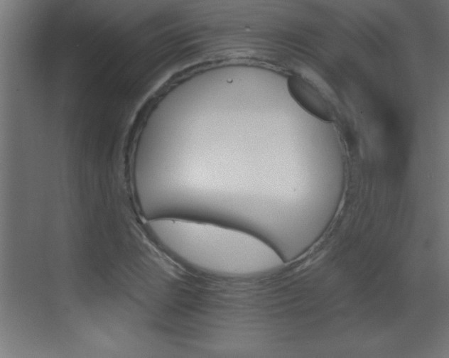 X0000069831023200605190936