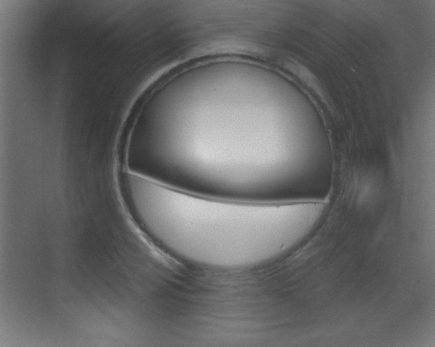 X0000069831024200605190936