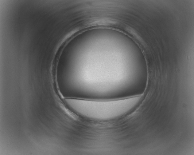 X0000069831026200605190936