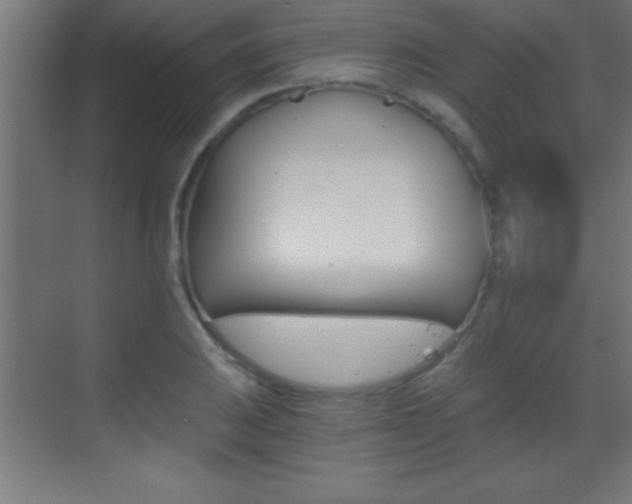 X0000069831031200605190936