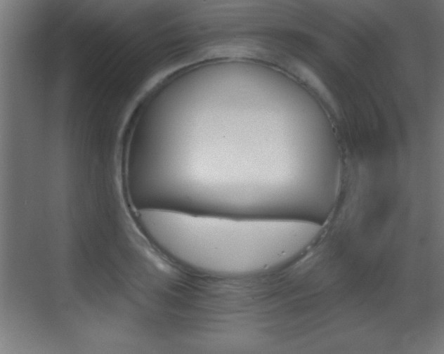 X0000069831035200605190936