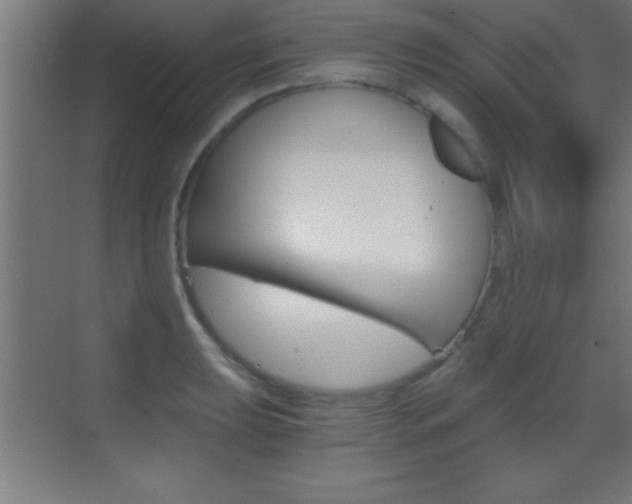 X0000069831039200605190937
