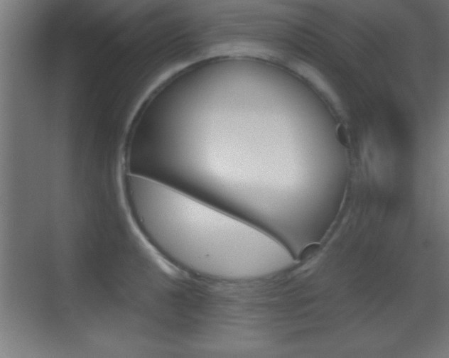X0000069831040200605190937