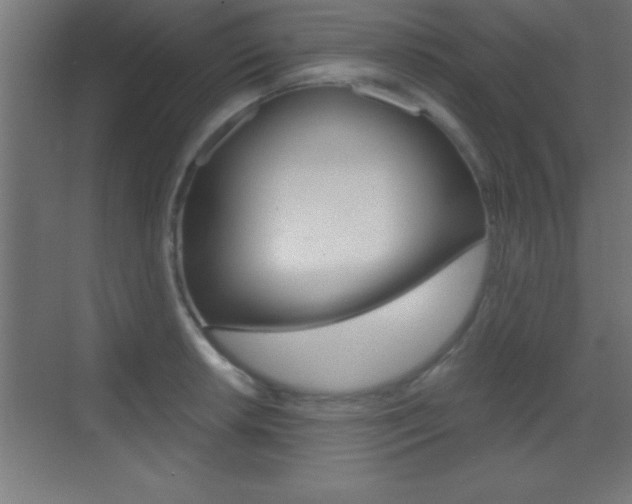 X0000069831042200605190937
