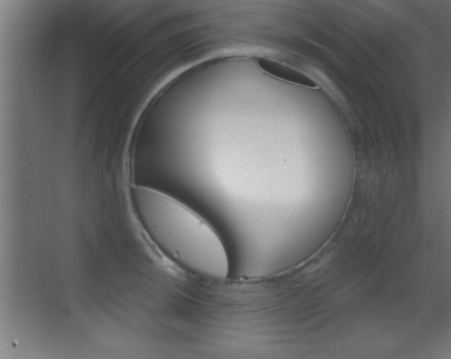 X0000069831044200605190937