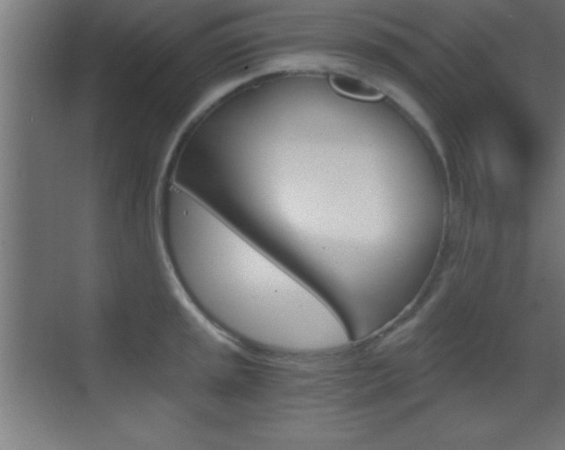 X0000069831045200605190937