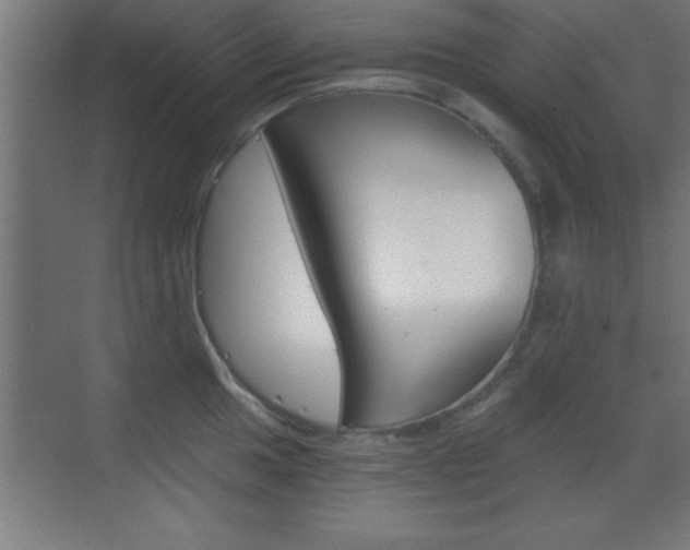 X0000069831049200605190937