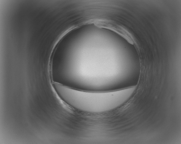X0000069831050200605190937