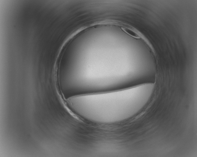 X0000069831053200605190937