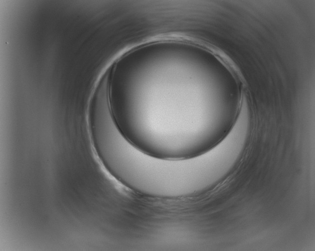 X0000069831054200605190937