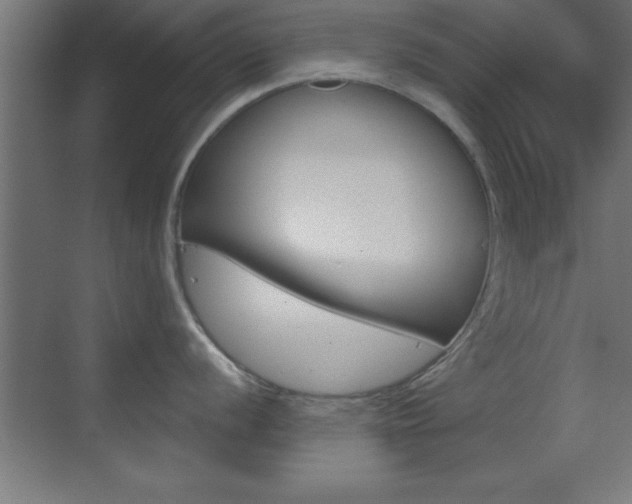 X0000069831056200605190937