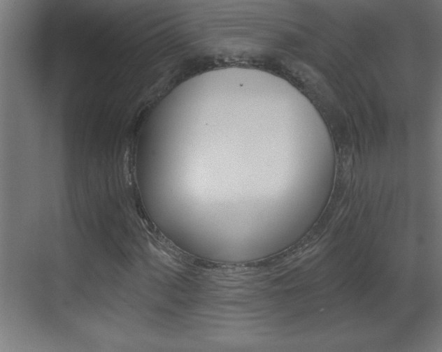 X0000069831060200605190936