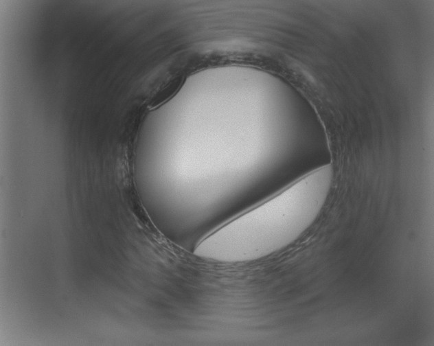 X0000069831062200605190936