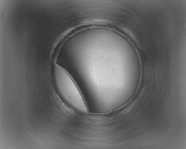X0000069831066200605190936