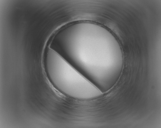 X0000069831072200605190936
