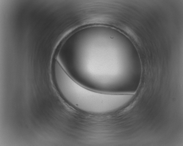 X0000069831077200605190936
