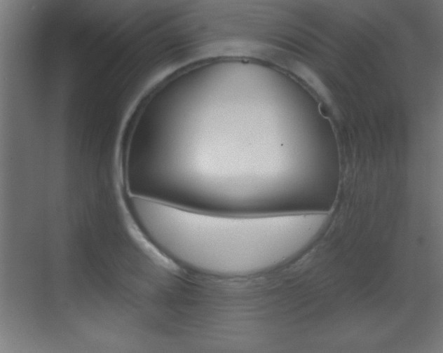 X0000069831080200605190936