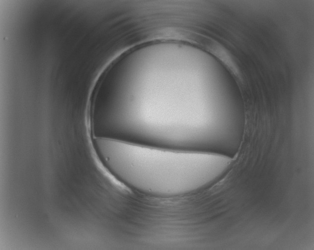 X0000069831084200605190936