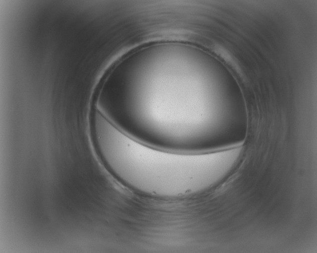 X0000069831085200605190936