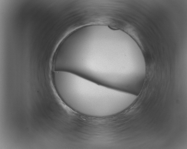 X0000069831099200605190935