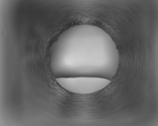 X0000069831105200605190934