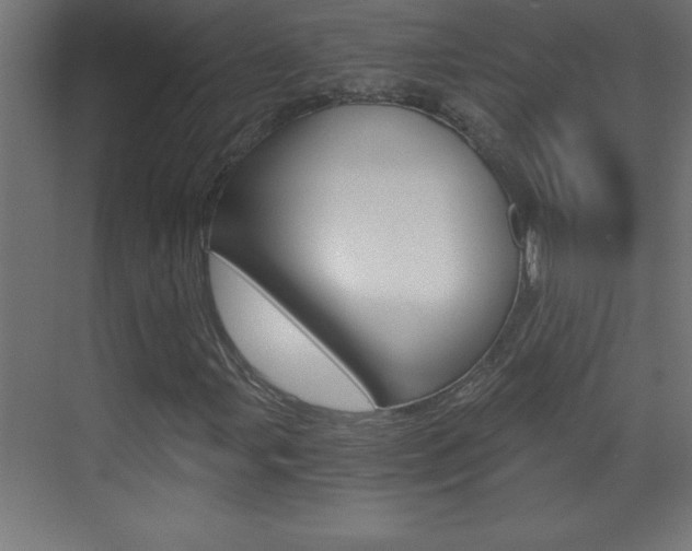 X0000069831107200605190934