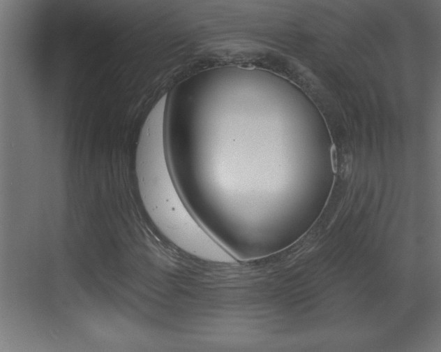 X0000069831108200605190934