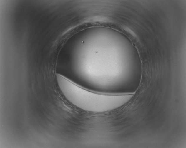 X0000069831112200605190935