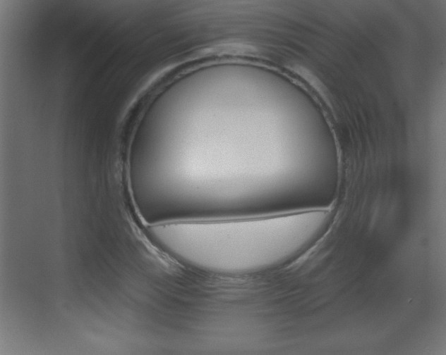 X0000069831115200605190935