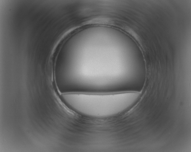 X0000069831123200605190935