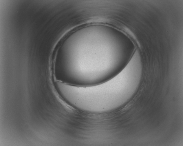 X0000069831124200605190935